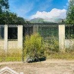 Bán đất nhơn trạch, hàng hiếm 595m2. chỉ nhỉnh 2 tỷ. lh