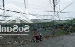 Chính chủ bán 1000m2 đất thổ cư shr mặt tiền quách điểu và dân công hỏa tuyến