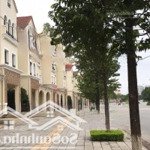 Bán gấp căn bt song lập 200m2 phố đình thôn ở, kinh doanh đều tiện nhà thô giá 42 tỷ. lh 0981045057