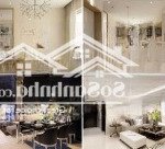 Quản lý tất cả các căn hộ cho thuê dự án sunrise city, city view giá cập nhật tháng 3/2025