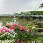 Bán đơn hoa sữa 8-21, 424m2, đông nam, mặt tiền 15m, view vườn hoa, ngã ba sông rộng. giá 107 tỷ