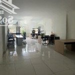 Bán nhà 5 tầng mặt tiền văn tiến dũng vcn phước hải 100m2 giá chỉ 12 tỷ (có dòng tiền)