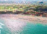 Bảng giá chính thức 05 căn đẹp nhất bình sơn ocean park, ck 8%, thanh toán 18 tháng, sổ hồng sẵn