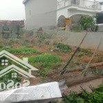 Lô đất quá đẹp đông lai - quang tiến dt: 115m2 mt 5.4m. giá hơn 3tỷ xíu kinh doanh buôn bán quá tốt