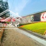 đất nền bình yên, dân cắt ra bán giá 2xtr/m2 cách tl420 chỉ 200m. đường thông, vuông vắn, sẵn sổ