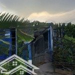 Bán nhà mặt tiền tại lê văn kiệt, 9 tỷ, 620 m2, tân an, long an