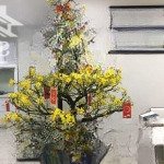 Chủ nhà cho thuê cc mỹ vinh 250 ntmk q.1. dt 110m2 3p, 2wc. giá chỉ 14tr. lh 0776924194