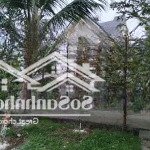Bán 5000m2 tam dương, tặng biệt thự nghỉ dưỡng 3 tầng, 5pn lô góc, vườn cây ăn trái đang thu hoạch