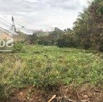 Bán đất thổ cư cách quốc lộ 1a 400m. đất sổ hồng riêng. lh 0919.093.496