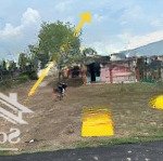 Bán đất 561m2 tại xã lý nhơn, cần giờ, hcm giá tốt chỉ với 3,2 tỷ