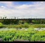 Hot !!! còn 2 nền ngay ql51- biên hòa - đồng nai , dt: 100m2/1ty5 , sổ hồng riêng , đường nhựa 12m