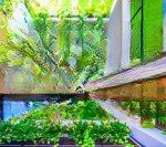Bán toà boutique villa siêu đẹp biển mỹ khê dòng tiền 300 triệu/tháng, pháp lí chuẩn