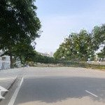 Tổng hợp các căn biệt thự nam cường đang giao dịch tháng 3/2025. giá chỉ từ 33 tỷ