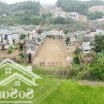 Quá hiếm- 3 tỷ- 1000m2- hộ khẩu hà nội- sổ đỏ- thổ cư-liệu có mua được không? đất sóc sơn