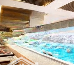 Chị ơi, căn 66m² full nội thất đức, hỗ trợ vay 0% quá đẹp để đầu tư