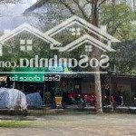 Chính chủ cho thuê nhà ngay chợ đầu mối thủ đức phường tam bình dt 120m2 giá 45 triệu/tháng