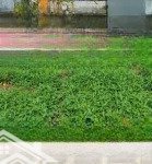 Bán đất 70m2 liên ninh, thanh trì, hà nội. vị trí đẹp, ngõ thông ô tô, giá đầu tư (nhỉnh 93tr/m2)