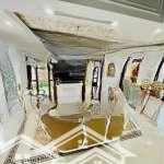 Chính chủ cần bán gấp song lập sao biển 150m2 bc đn vinhomes ocean park 0962678988
