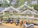 Bán đất tại măng đen, kon plông, kon tum, giá tốt 10,5 tỷ, 540 m2