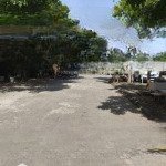 Bán nhà mặt đường , yên kiện,ngọc hồi,mặt phố, vỉa hè, 115m,5,5