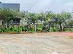 đất biển trần kiệt, đẹp miên man (gần bãi tấm phú đông siêu đẹp)