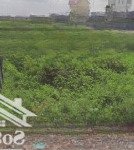 Sang lại 80m2 đất thổ cư giá 1,6 tỷ mặt tiền đường số 2 long bình gần chợ nghĩa - sơn