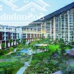 Nhận booking rổ cđt brilliant - 3 option thanh toán - trả 20% nhận nhà, ân hạn gốc lãi 2 năm