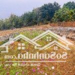 Sở hữu 2300m2 sẵn khuân viên nghỉ dưỡng, suối chảy ngang đất tại yên bài ba vì, giá cả hấp dẫn