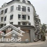 Chính chủ cần sang nhượng gấp căn góc shophouse hải phát hướng đông nam tại trâu quỳ, gia lâm