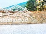 Bán đất f0 phường an bình thị xã thuận thành dt 81m2 mt hậu = 4m50 ôtô thông gần chợ trường khu cn
