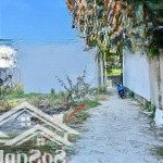 đất vĩnh thạnh siêu rẻ nhất thị trường chỉ 978 triệu