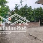 đất thổ cư xã tự nhiên, thường tín, diện tích 100m2, ngõ ô tô tải vào đất, gần vành đai 4, cao tốc.