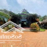 Chính chủ cần bán khuôn viên nghỉ dưỡng diện tích 3638m2 thổ cư 400m2 tại vân hòa, ba vì, hà nội