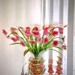 Cập nhật quỹ căn chuyển nhượng 2-3pn mới nhất the pride - tố hữu - hà đông