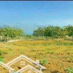 Chính chủ bán lô đất 481m thổ cư 80m mặt tiền 26m vị trí vân hòa ba vì hà nội