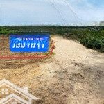 Bán 2 lô đất liền kề có thể hiện đường trên sổ, giá thỏa thuận, 2512 m2 (2 lô liền kề)