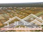 đất mặt tiền đường ba tháng hai nối dài, gần ngã tư vĩnh hoà phú, lộ 38m, 30x84m, quy hoạch thổ cư