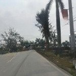 Cần bán gấp đất đấu giá hải dương- trục chính đường tiến sĩ- dt100m2 vỉa hè 4m, đường 8m,nhỉnh 3 tỷ