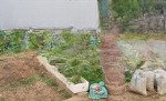 Cần bán mảnh đất ở dương tảo thường tín. ô tô nhỏ vào đất. cách 15m ra ô tô tránh. 0986341222