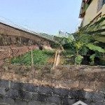 đất vĩnh lộc thư phú 50m2, đường thông, ô tô đỗ.
- đường chuẩn 3m, thông, ô tô đỗ cửa