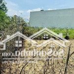 Cần bán gấp miếng đất full thồ cư xã long thượng, cần giuộc, la