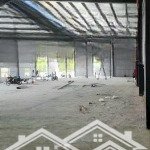 Xưởng cho thuê an phú đông q12 dt 5000m giá 150tr/ tháng có pccc vách tường