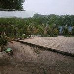 Bán đất dịch vụ la dương 50m2 giá 12,5 tỷ