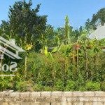 đất thổ cư 1113m2 tại đường 87, xuân khanh, sơn tây, hà nội giá siêu hời 5,4 tỷ