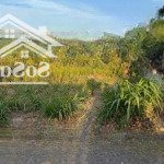 Bán đất 140m2/410tr - mtđ hồ biểu chánh - gò công - tiền giang - shr.