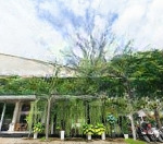 Bán nhà siêu vị trí mặt tiền khu phú mỹ hưng, quận 7 - 11 x 18m - hđt 130tr/th - 5 tầng - 75 tỷ