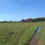 Bán đất tại xã trí bình, châu thành, tây ninh, 11,7 tỷ, 498,1 m2