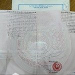 Bán 2 lô đất gần nhau diện tích 231m2 mặt tiền 12,5m khu đấu giá 1 nghi thuận, nghi lộc, nghệ an