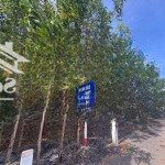 Chính chủ cần bán lô đất đẹp tại ấp 3, hòa hội, mộc xuyên bà rịa - vũng tàu