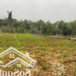 Bán đất tại thôn chóng, xã yên bài, 8 tỷ, 3054 m2, giá tốt giá tốt